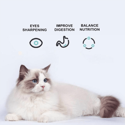 Canned Cat, 85g/3oz Canned Pet Snacks, Chicken Shredded Frozen Can, High Meat Content, Wet Food, Suitable for Cats and Dogs