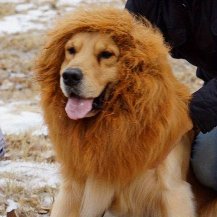 1pc Lion Mane Dog Costume - Adjustable Polyester Fiber Pet Wig for Medium & Large Dogs - Festive Christmas & Halloween Gift Accessory - For Dog Owners -  Perfect for Parties & Photoshoots