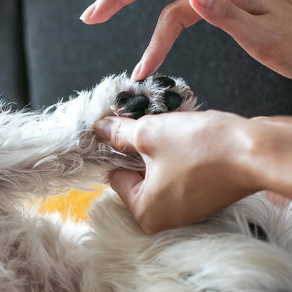 40g LOVCARRIE Natural Paw Balm Stick for Dogs & Cats - Soothing Moisturizing Cream for Dry, Cracked Paws, Non-Toxic Formula Pet Care Paw Salve