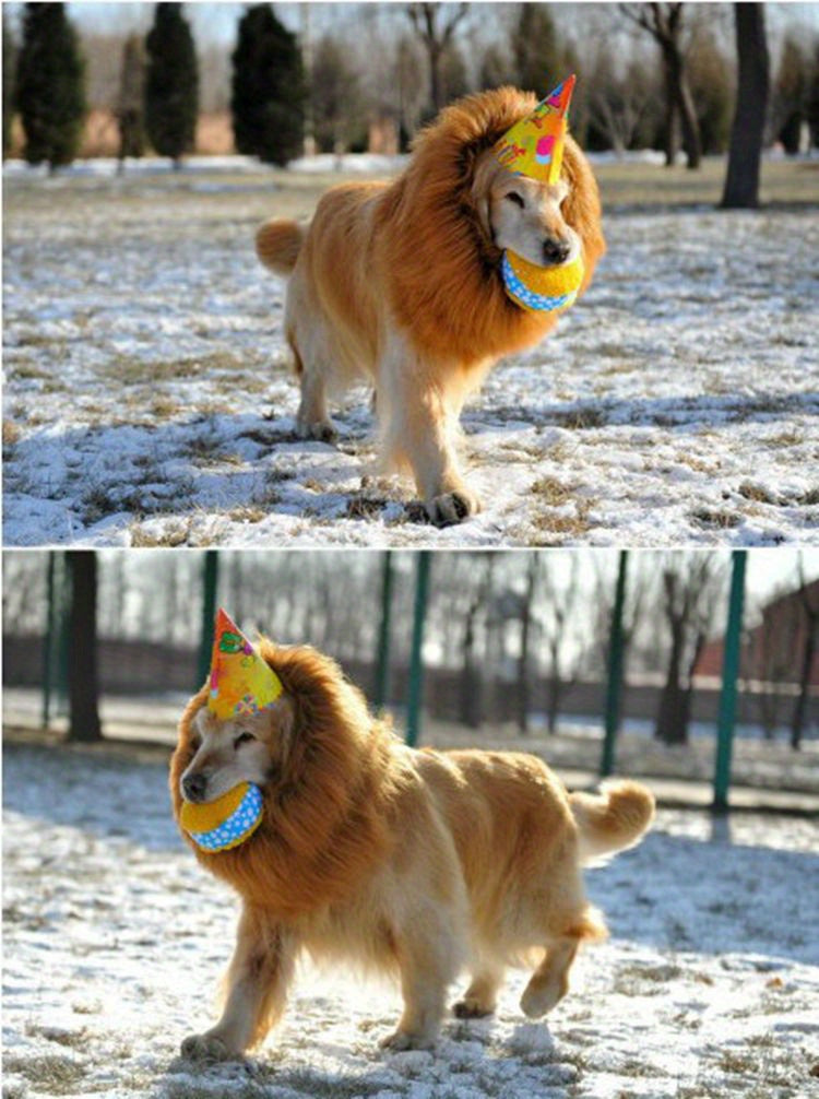 1pc Lion Mane Dog Costume - Adjustable Polyester Fiber Pet Wig for Medium & Large Dogs - Festive Christmas & Halloween Gift Accessory - For Dog Owners -  Perfect for Parties & Photoshoots