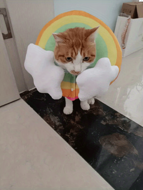 Zeze Cat Plush Rainbow Shape Soft Elizabethan Adjustable Collar For Cat Wound Healing Protective, Pet Elizabethan Collar For Cats, Mini Dogs And Rabbit