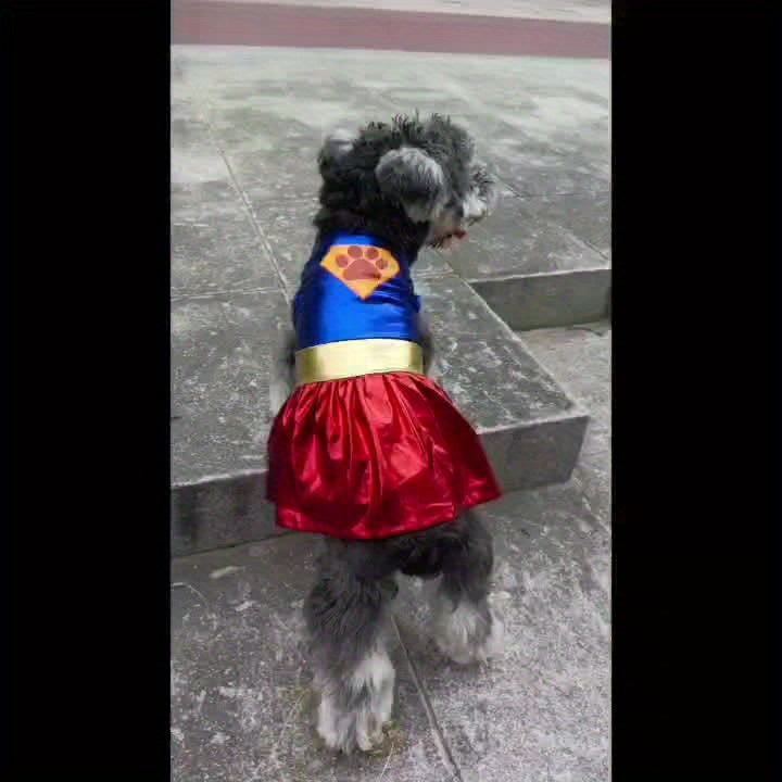 Superhero Dog Costume with Cape & Paw Print Logo - Vibrant Blue & Red Super Power Outfit for Small Breeds, Easy Slip-On Costume, Onesies For Small Dogs, Dog Clothes Costume, Suits For Small Dog, Doggy Outfits, Clothes For Pet