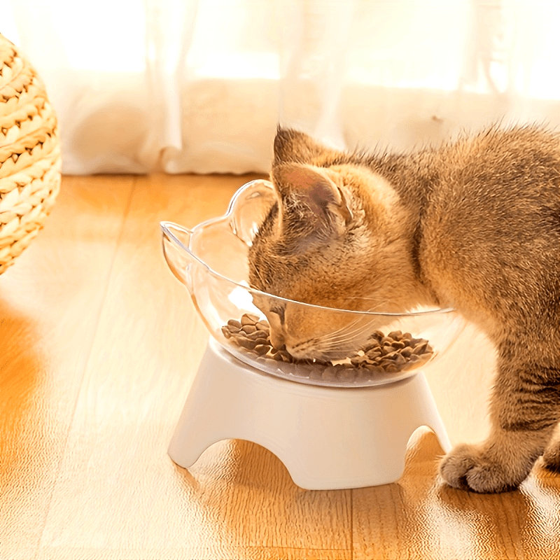 Elevated Pet Inclined Food Bowl Water Bowl, Transparent Plastic Cat Dish Bowl For Pet Cervical Spine Protection