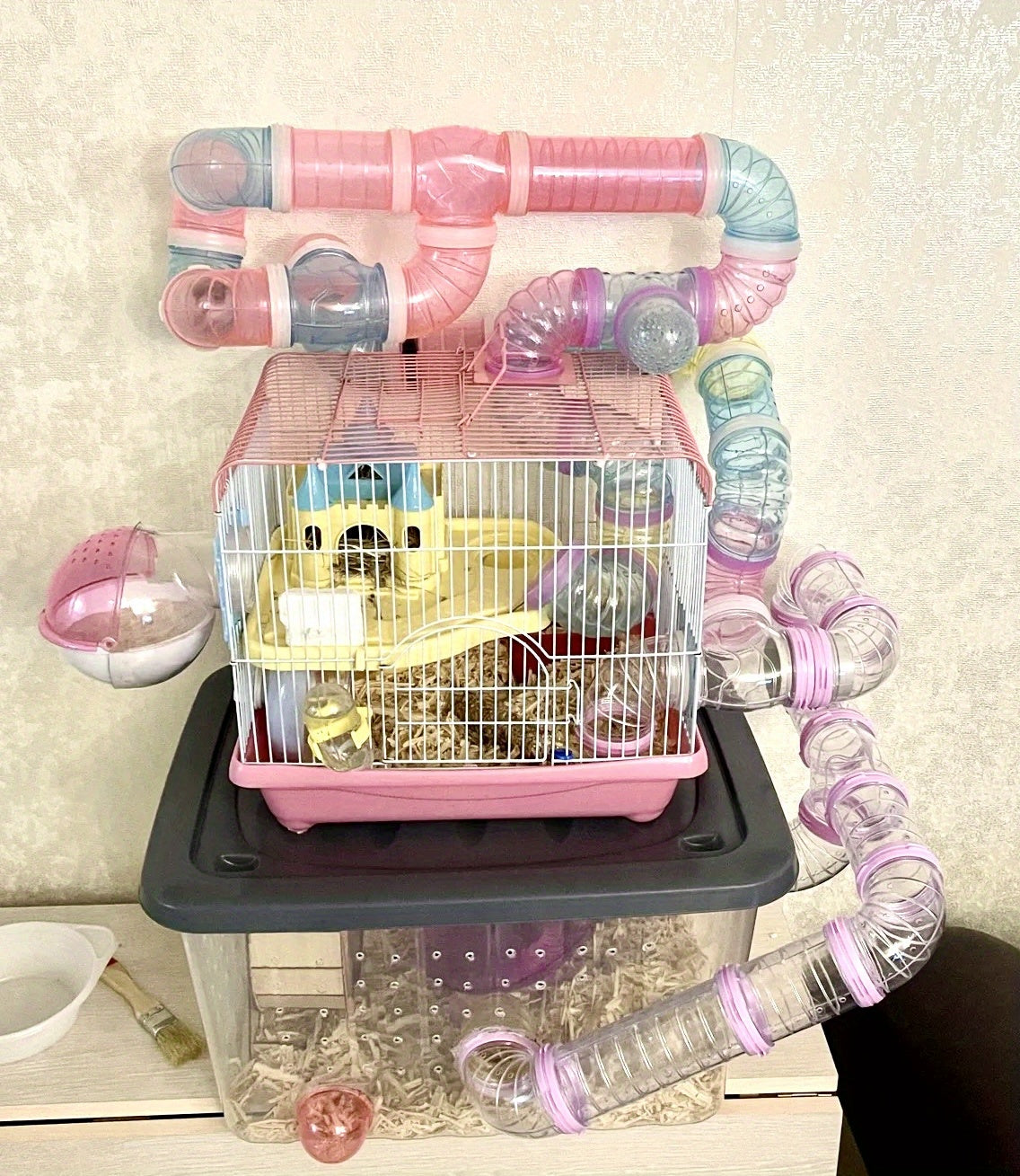 8pcs/set DIY Hamster Tunnel Toy Pet Rats Sports Training Pipeline Transparent Runway Toy Pet Hamster Game For Small Animal Accessories Mice Creative DIY Colorful Hoop Tubes Diam 2.17inch