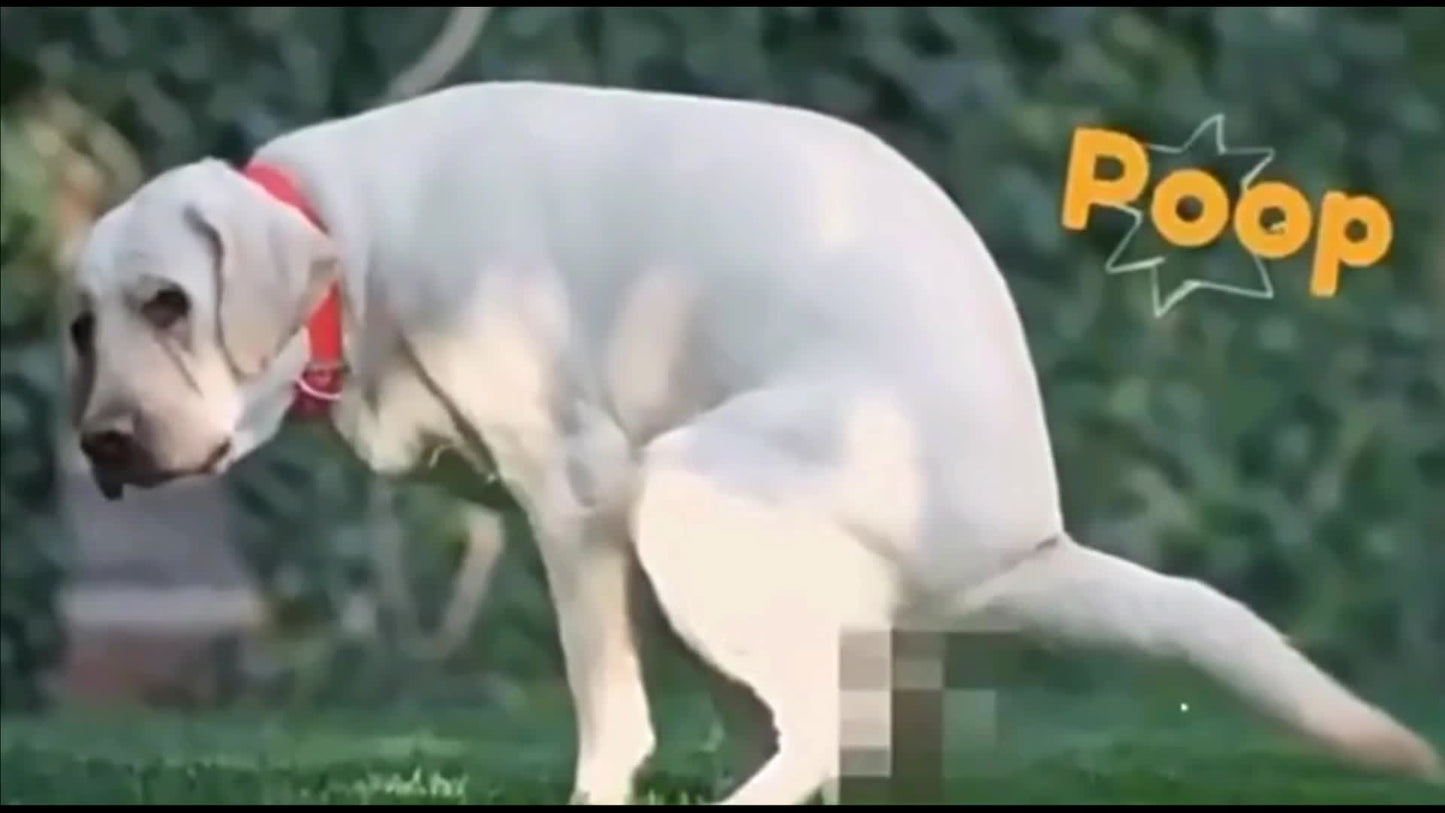 Pet Dog Pooper Scooper, Portable Dog Poop Picker With 45pcs Waste Bags For Outdoor Walking, Dog Excrement Shovel Picker, Pet Garbage Bag Refill Rolls, Pet Cleaning Supplies