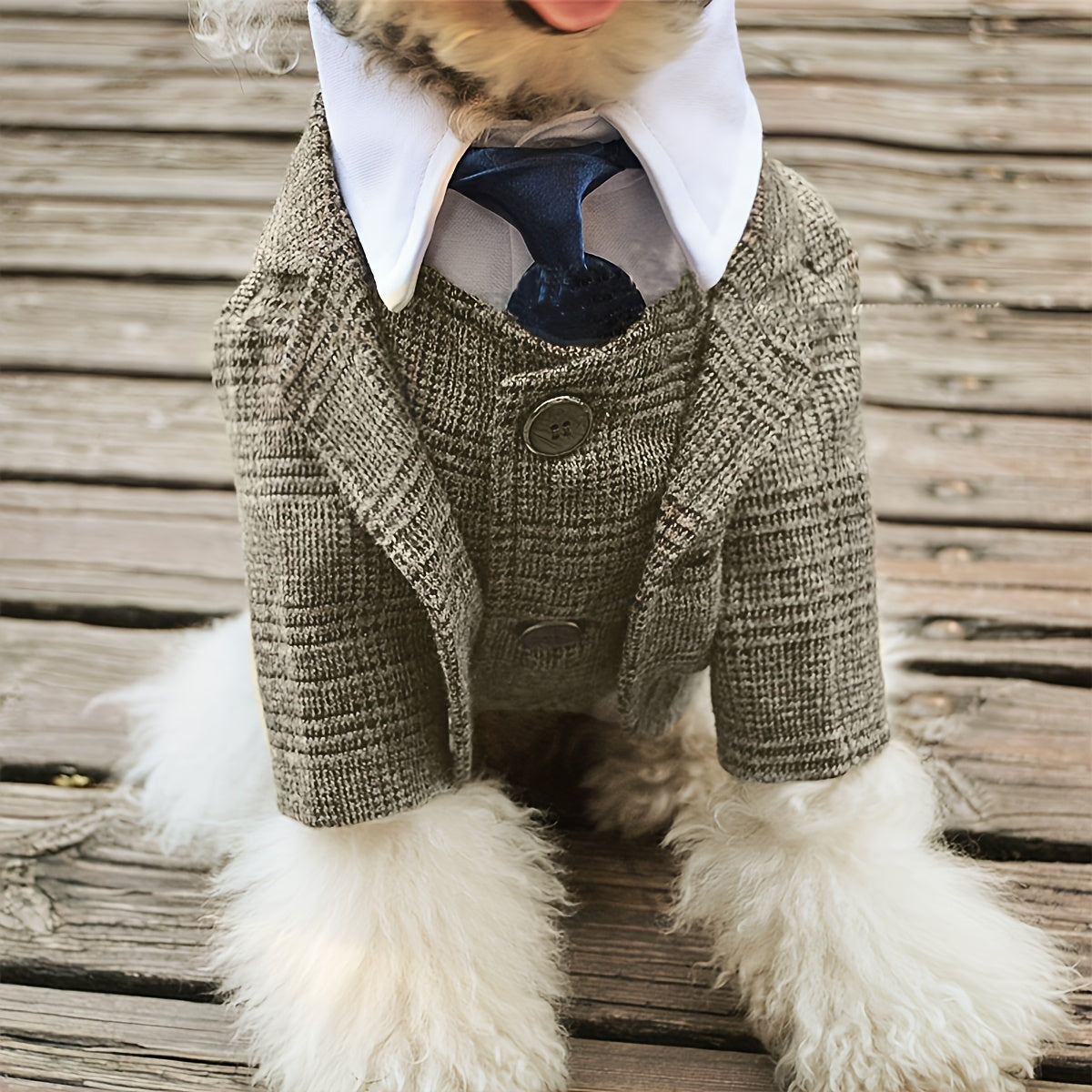 1pc Plaid Print Pet Suit Jacket - Stylish, Comfortable, Ideal for Wedding, Formal Events, and Christmas Gifts for Dog and Cat