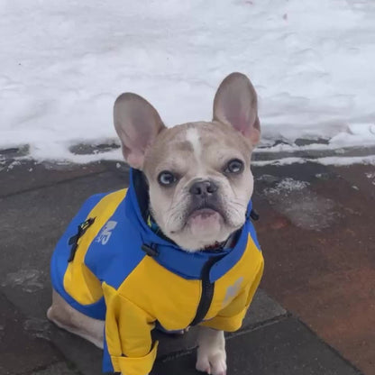 Colorful Waterproof Pet Jacket for Medium/Large Dogs - Durable 100% Polyester, Easy-Zip Closure with Hood, "MB" Design - Ideal for Outdoor Adventures, Dog Raincoat Waterproof