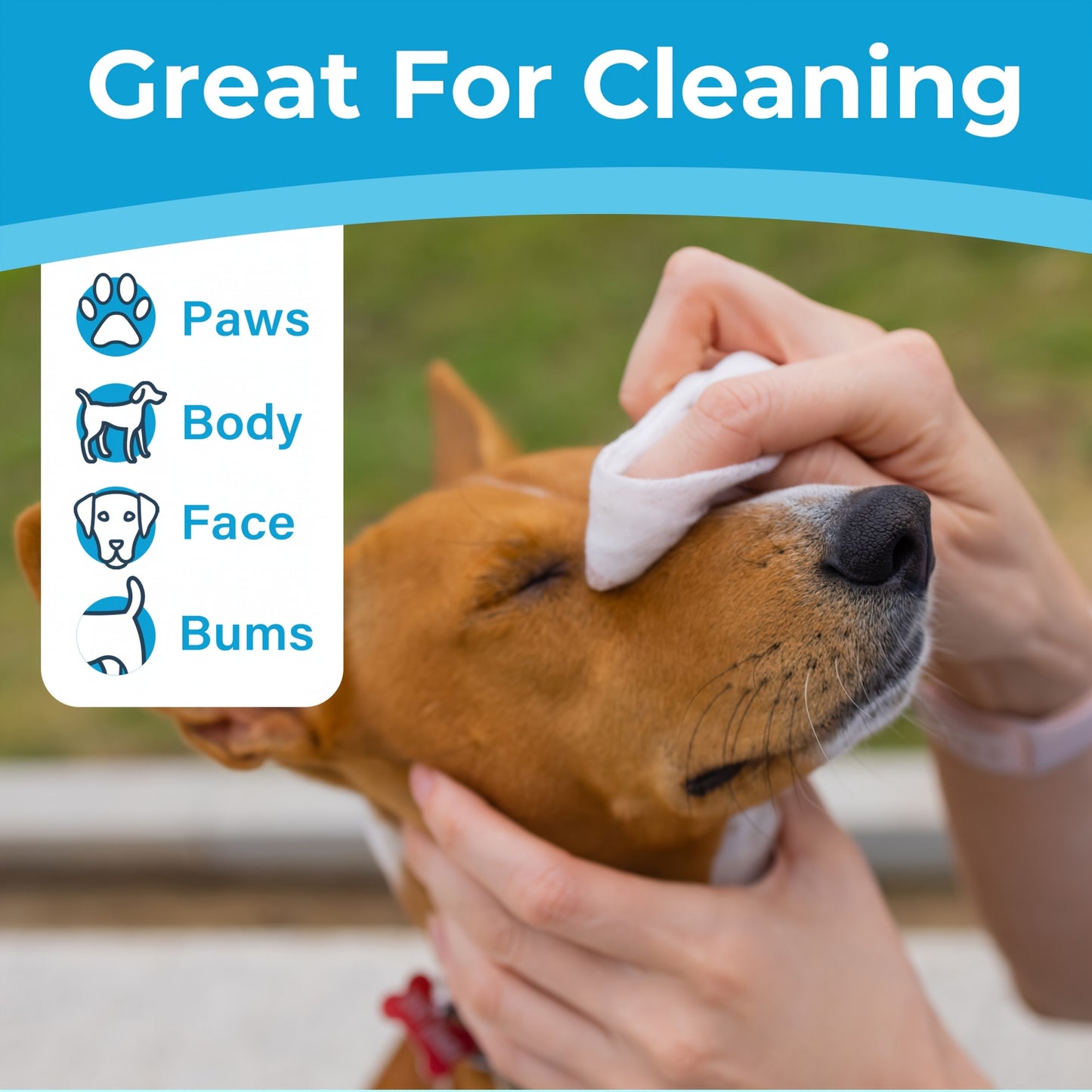 Dog Grooming Wipes, 600 Count, 6x8 Inch Deodorizing Wipes For Dogs & Cats, 100% Fragrance Free, Natural Pet Wipes For Cleaning Face Bum Eyes Ears Paws Teeth, Dog Wipes