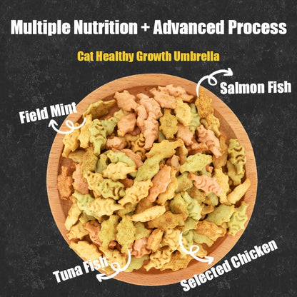 Cat Biscuits Salmon Snacks Chicken Tuna Multiplicity Nutrition Health Easy To Eat Digest Crispy Catnip Fish Biscuits Pet Snacks Cat Snacks Pet Food