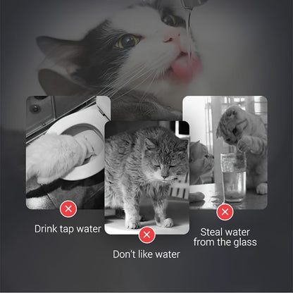 60.87oz Smart Cat Water Dispenser with Faucet, Dog Water Dispenser, Transparent Water Dispenser, Pet Water Filter Feeder