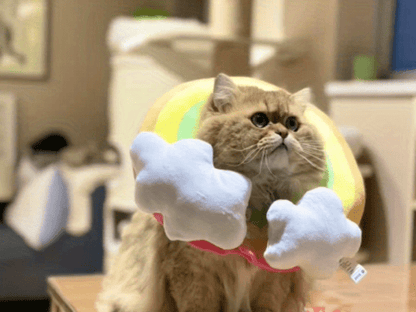 Zeze Cat Plush Rainbow Shape Soft Elizabethan Adjustable Collar For Cat Wound Healing Protective, Pet Elizabethan Collar For Cats, Mini Dogs And Rabbit