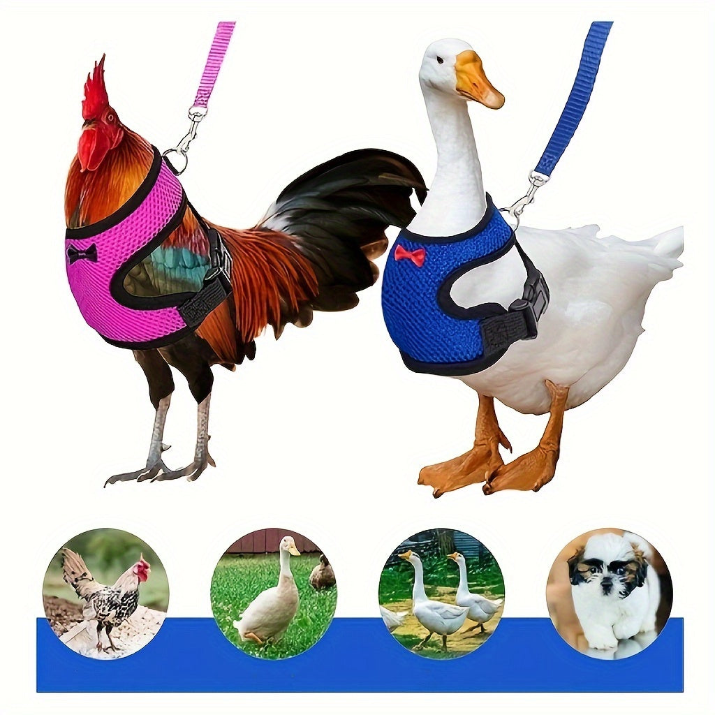 New Chicken Chest Harness Adjustable Chicken Leash Comfortable Breathable Elastic Chicken Vest for Poultry Pet Training Supplies