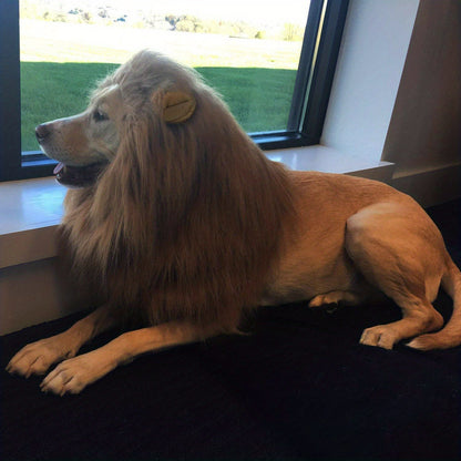 1pc Lion Mane Dog Costume - Adjustable Polyester Fiber Pet Wig for Medium & Large Dogs - Festive Christmas & Halloween Gift Accessory - For Dog Owners -  Perfect for Parties & Photoshoots