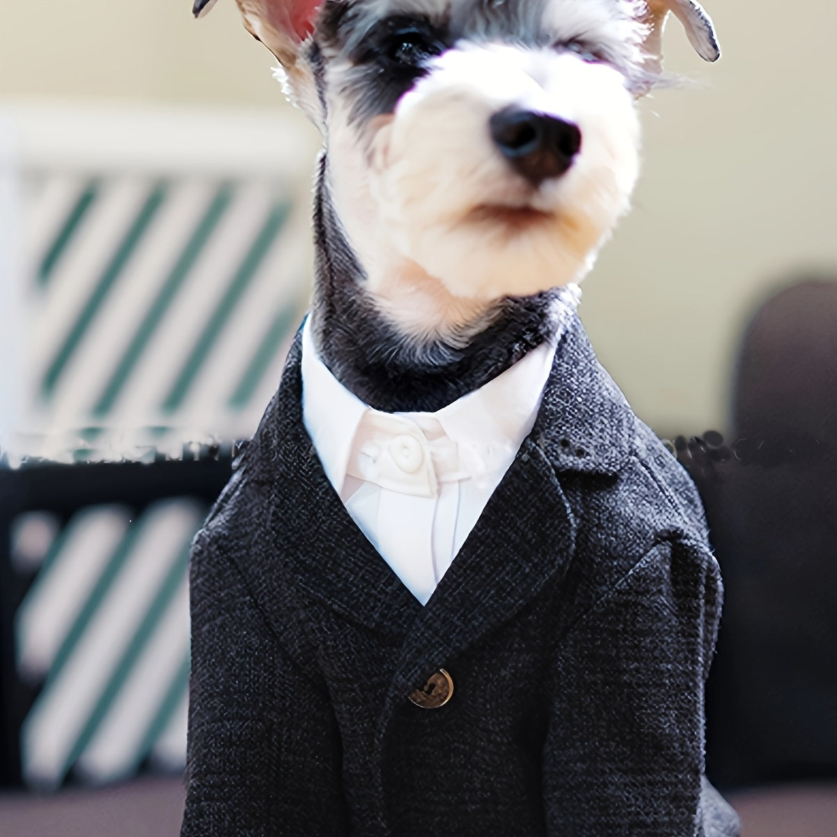 1pc Plaid Print Pet Suit Jacket - Stylish, Comfortable, Ideal for Wedding, Formal Events, and Christmas Gifts for Dog and Cat