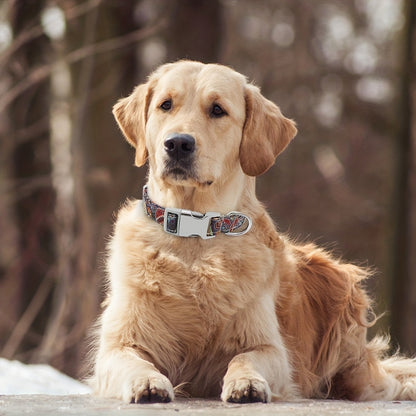 Personalized Pet Collar - Custom Engraved Nylon Dog Collar for Small Large Dogs, Cats, and Puppies with Name, Phone ID, and Adjustable Buckle - Durable, Waterproof, and Easy to Clean Basic Collar