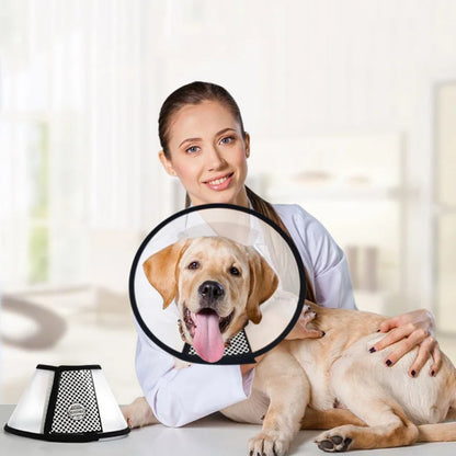 Postoperative Pet Grooming Cover Cat Accessories for Cats Wound Healing Cone Dog Collar Gato Kedi Protector Mascotas Supplies