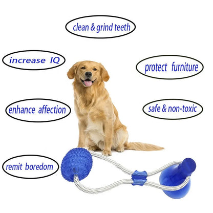 Pet Toys for Small Dogs, Rubber Dog Toy, Dog Push Toy with TPR Ball, Pet Tooth Cleaning Chewing Toy with Suction Cup