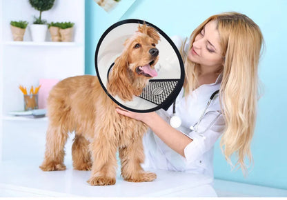 Postoperative Pet Grooming Cover Cat Accessories for Cats Wound Healing Cone Dog Collar Gato Kedi Protector Mascotas Supplies