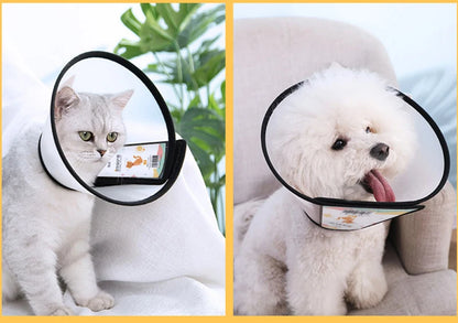 Postoperative Pet Grooming Cover Cat Accessories for Cats Wound Healing Cone Dog Collar Gato Kedi Protector Mascotas Supplies