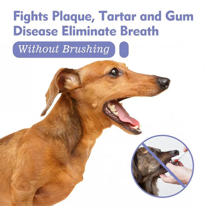 30ml Pet Spray Dog Oral Care Bad Breath Teeth Cleaning Pet Freshener Supply Deodorant Plaque Care Remover Breath Pet Accessories