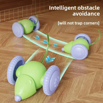 Pet's Cat Toy Ball,Wloom Cat Toy,Magic Rolling and Sound Ball for Indoor Playing Stimulate Hunting Instinct for Your Kitty