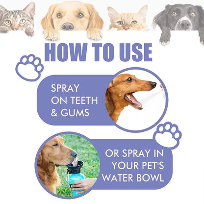 30ml Pet Spray Dog Oral Care Bad Breath Teeth Cleaning Pet Freshener Supply Deodorant Plaque Care Remover Breath Pet Accessories