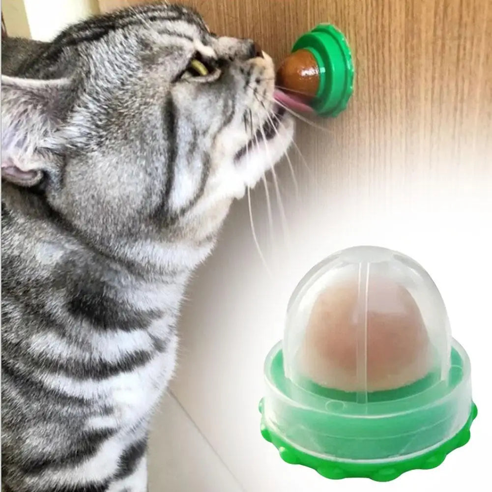 Cat Power Pill Energy Ball Catnip Healthy Nutrition Pasted Catnip Sugar Snacks Goods For Pet Products