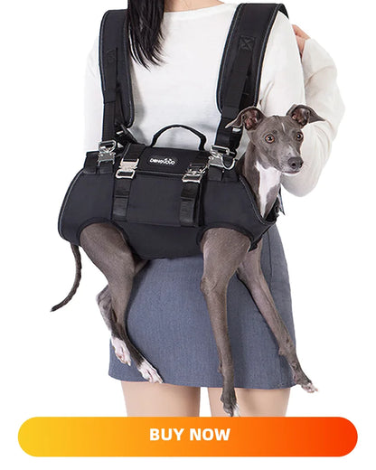 Pet Snuffle Mat for Dogs Cats Rabbit Puzzle Toy for Small Medium Dogs Interactive Pet Stress Relief Dogs Chew Toys Slow Eating