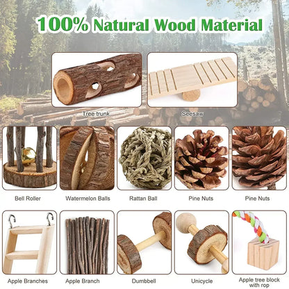 Multiple Sets of Safe Wooden Toys for Small Pets - Hamster, Rabbit, Totoro, Guinea Pig, Parrot. Ideal Daily Necessities
