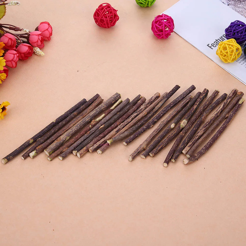Cat Snacks Sticks Catnip Puppy Pet Dogs Cat Chew Molar Toys Fruit Matatabi Cats Cleaning Teeth Funny Bite Squeak Bauble