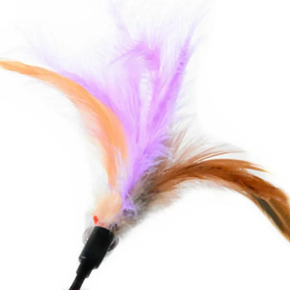 2 Pcs Cat Toy Bell Feather Funny Cat Rod Toy Cat Toys Interactive  Cat Accessories Pet  Cat Supplies