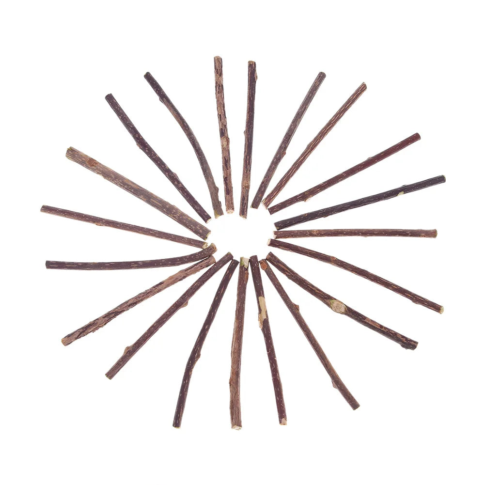 Cat Snacks Sticks Catnip Puppy Pet Dogs Cat Chew Molar Toys Fruit Matatabi Cats Cleaning Teeth Funny Bite Squeak Bauble