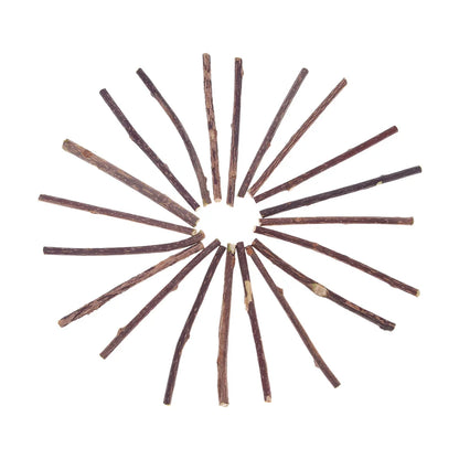 Cat Snacks Sticks Catnip Puppy Pet Dogs Cat Chew Molar Toys Fruit Matatabi Cats Cleaning Teeth Funny Bite Squeak Bauble