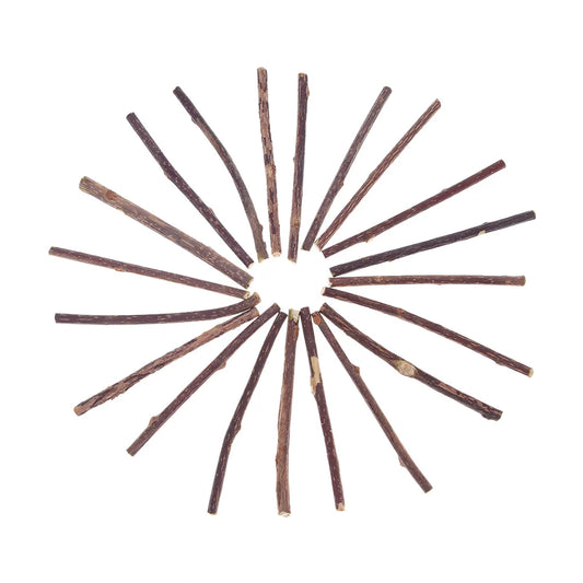 Cat Snacks Sticks Catnip Puppy Pet Dogs Cat Chew Molar Toys Fruit Matatabi Cats Cleaning Teeth Funny Bite Squeak Bauble