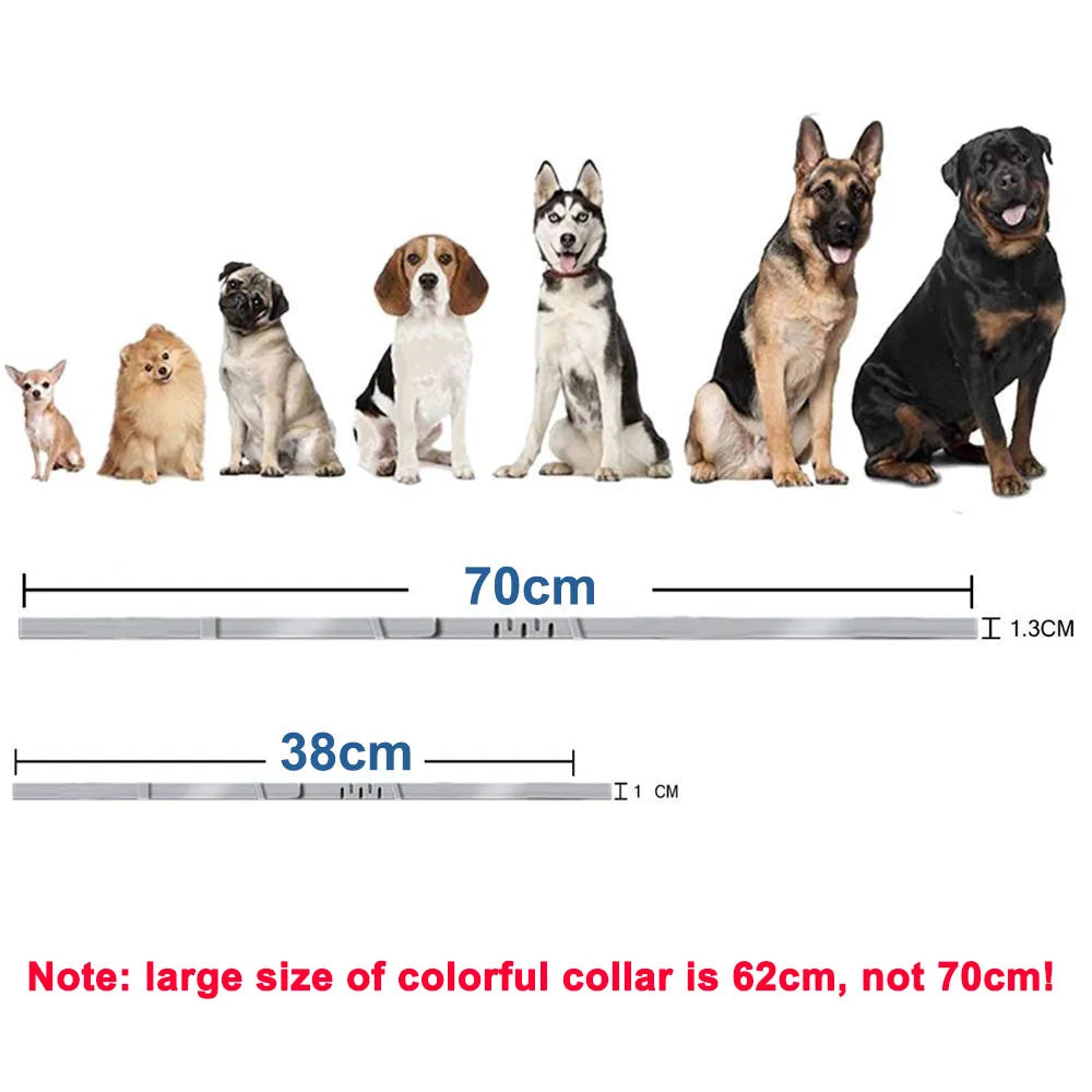 Dog Collar Puppy Cat 70cm 38cm for Small Dogs Cat Collar Pet Items Cat Accessories Adjustable Breakaway Kitten Collar Waterproof