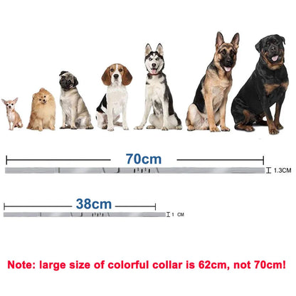 Dog Collar Puppy Cat 70cm 38cm for Small Dogs Cat Collar Pet Items Cat Accessories Adjustable Breakaway Kitten Collar Waterproof