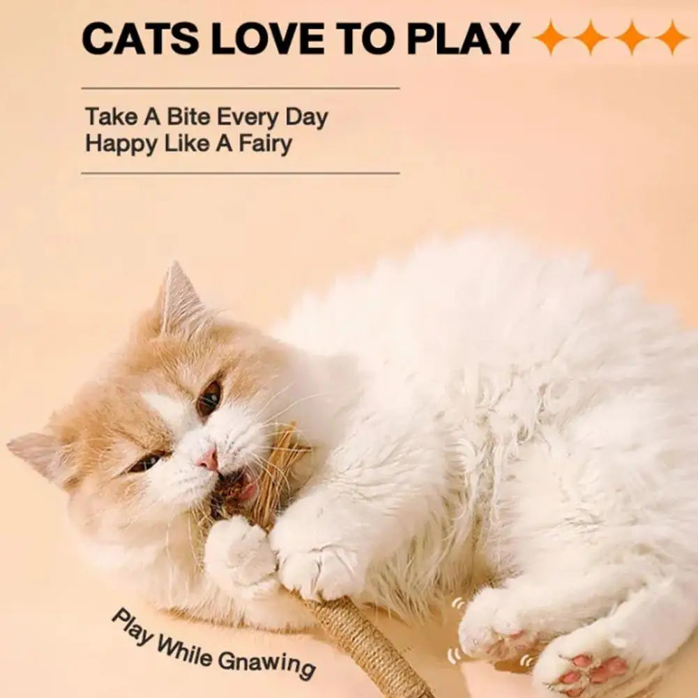1/2/5/10PCS Pet Toy Natural Pet Cat Snacks Stick Cleaning Tooth Catnip Cat Toys Actinidia Silvervine For Training Cats Accessory