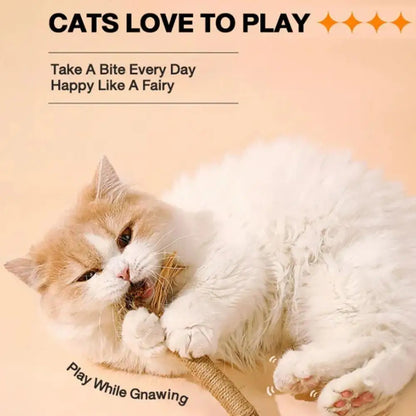 1/2/5/10PCS Pet Toy Natural Pet Cat Snacks Stick Cleaning Tooth Catnip Cat Toys Actinidia Silvervine For Training Cats Accessory