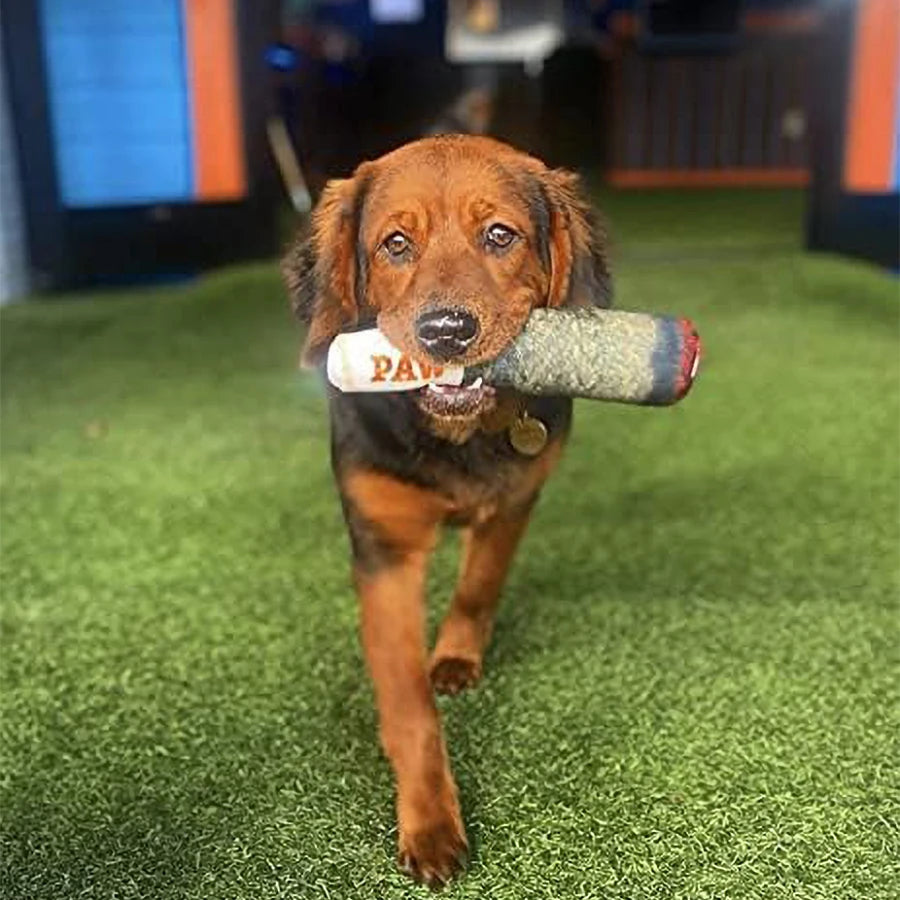 Plush Squeaky Toys for Medium, Small and Large - Cool Stuffed Cute Gifts for Dog Birthday