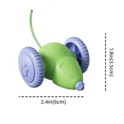 Pet's Cat Toy Ball,Wloom Cat Toy,Magic Rolling and Sound Ball for Indoor Playing Stimulate Hunting Instinct for Your Kitty