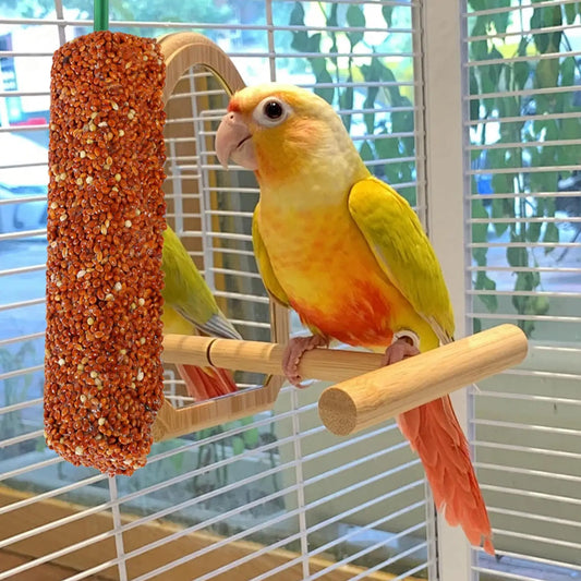 2PCS Parakeet Treats Sticks Bird Snacks Training Food Rewards Chewing Foraging Snacks for Myna Parakeet Finch Conure Parrot