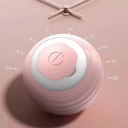 Pet's Cat Toy Ball,Wloom Cat Toy,Magic Rolling and Sound Ball for Indoor Playing Stimulate Hunting Instinct for Your Kitty