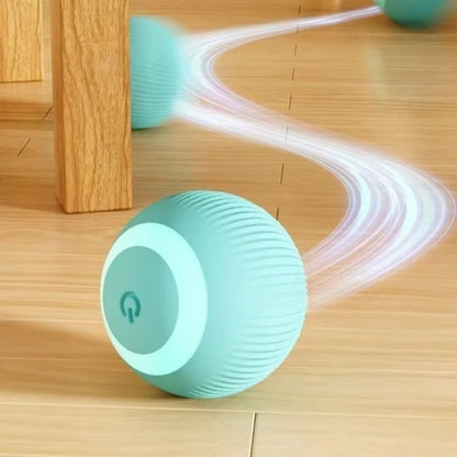 Pet's Cat Toy Ball,Wloom Cat Toy,Magic Rolling and Sound Ball for Indoor Playing Stimulate Hunting Instinct for Your Kitty