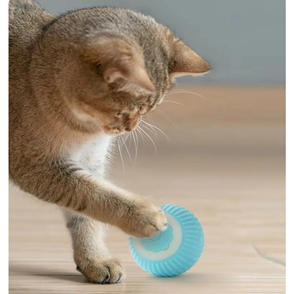 Pet's Cat Toy Ball,Wloom Cat Toy,Magic Rolling and Sound Ball for Indoor Playing Stimulate Hunting Instinct for Your Kitty