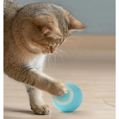 Pet's Cat Toy Ball,Wloom Cat Toy,Magic Rolling and Sound Ball for Indoor Playing Stimulate Hunting Instinct for Your Kitty