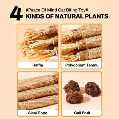1/2/5/10PCS Pet Toy Natural Pet Cat Snacks Stick Cleaning Tooth Catnip Cat Toys Actinidia Silvervine For Training Cats Accessory