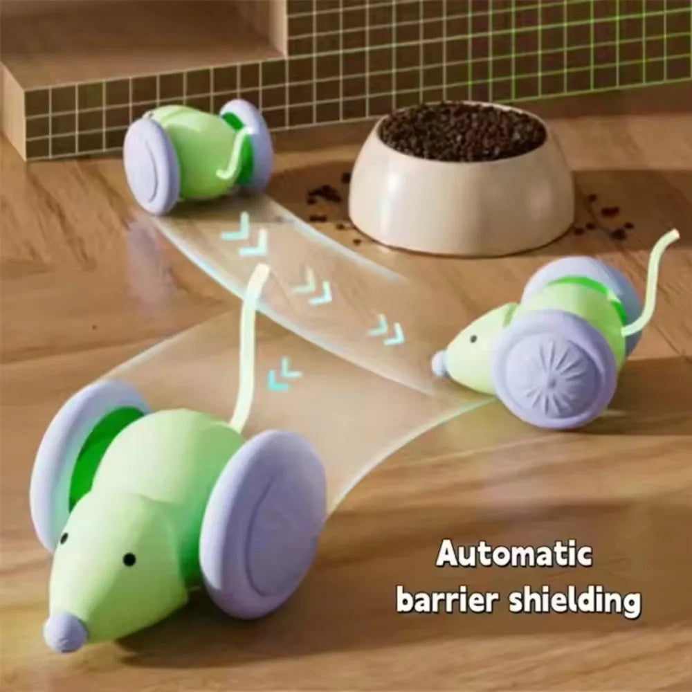 Pet's Cat Toy Ball,Wloom Cat Toy,Magic Rolling and Sound Ball for Indoor Playing Stimulate Hunting Instinct for Your Kitty