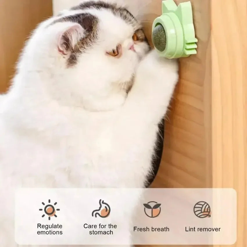Catnip Balls Funny Lickable Cat Snack Catnip Balls Cat Ear Mint Spinning Ball Teeth Clean Toy For Small Medium Cats Pet Supplies