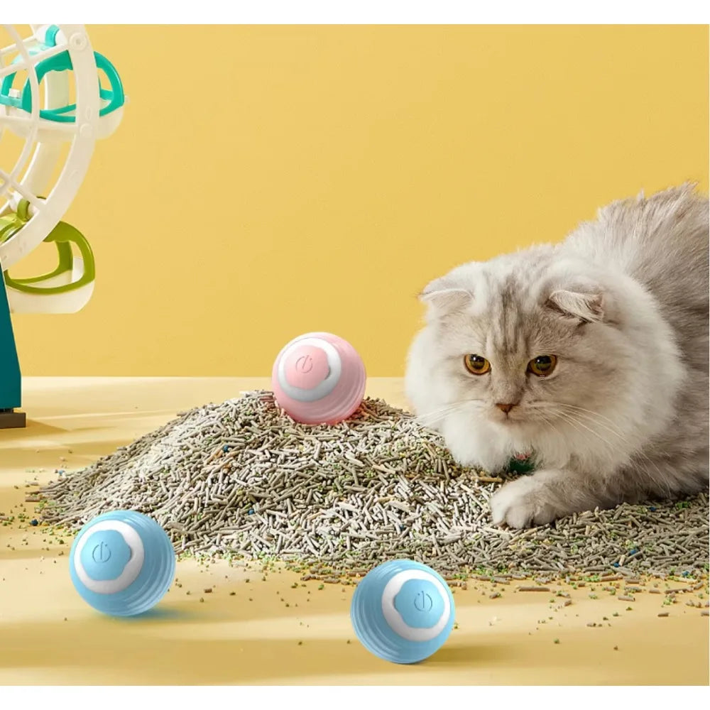 Pet's Cat Toy Ball,Wloom Cat Toy,Magic Rolling and Sound Ball for Indoor Playing Stimulate Hunting Instinct for Your Kitty