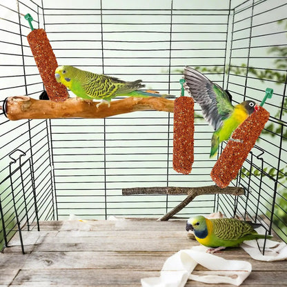2PCS Parakeet Treats Sticks Bird Snacks Training Food Rewards Chewing Foraging Snacks for Myna Parakeet Finch Conure Parrot
